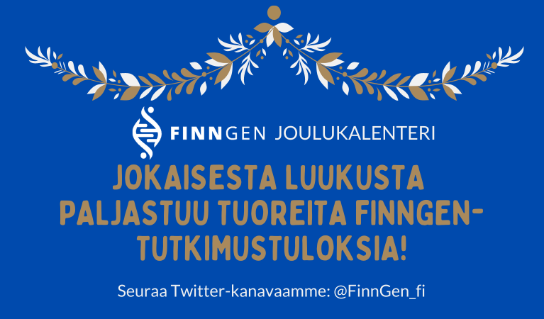 En julig dekoration och texten: FinnGen joulukalenteri: jokaisesta luukusta paljastuu tuoreita tutkimustuloksia! 