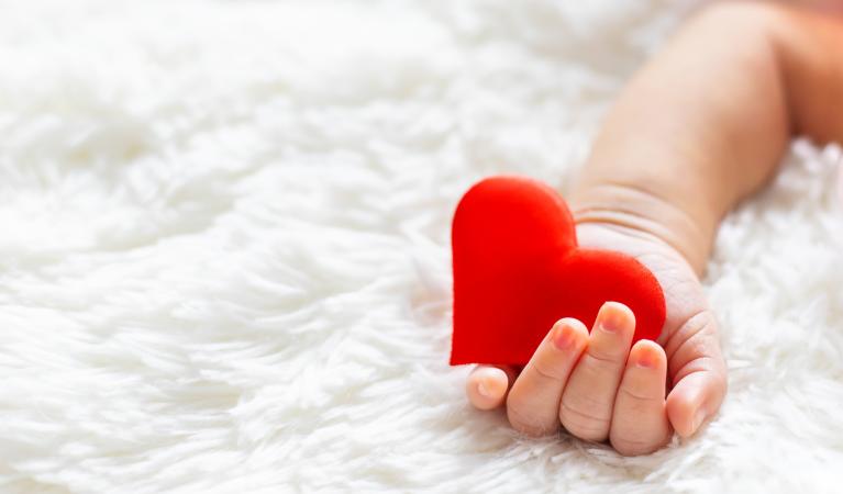 A baby's hand holding a decorative red heart.