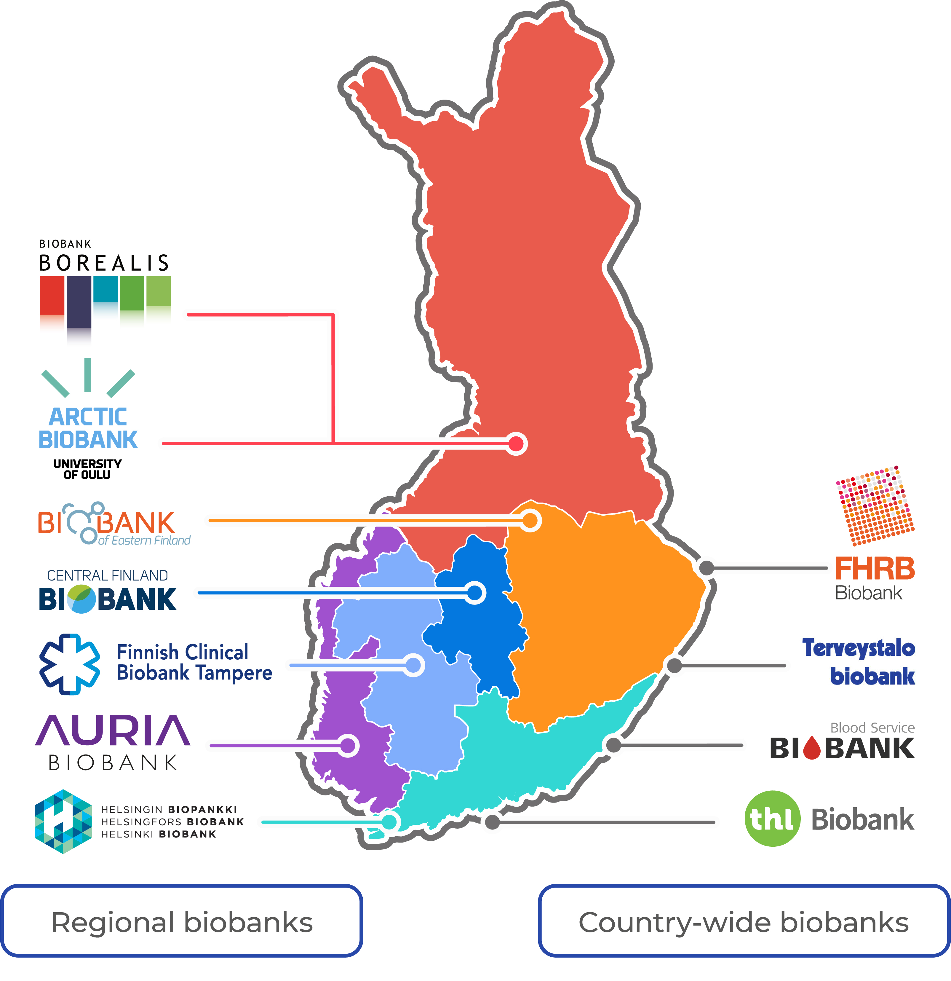 Eleven Finnish biobanks shown on a map, four of which are operating in the whole of Finland, six biobanks in specific hospital district areas and one in the University of Oulu.