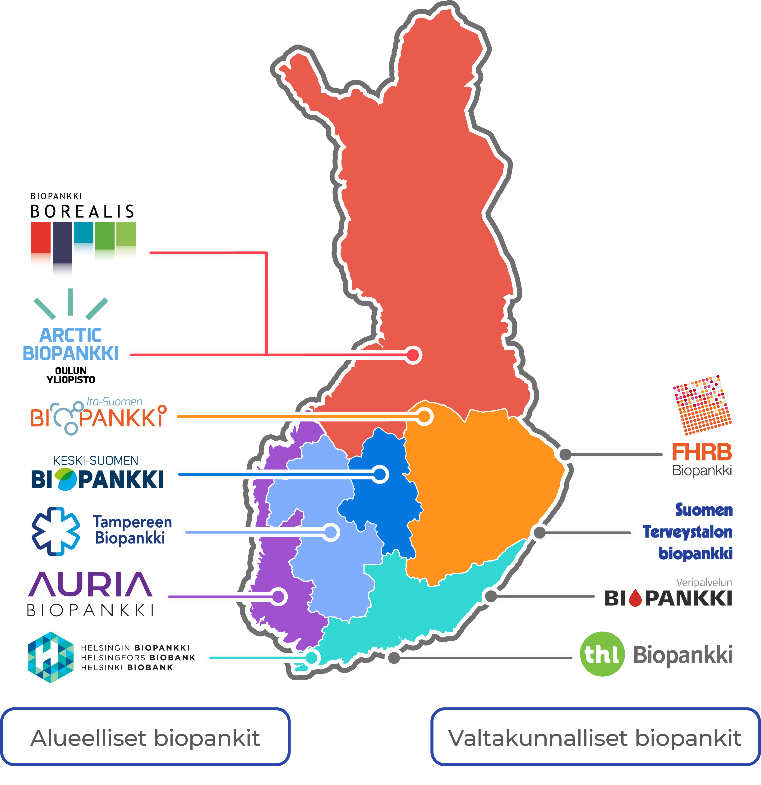 Suomen biopankit ja niiden logot esitettynä kartalla. Suomessa toimii 7 alueellista biopankkia ja 4 koko Suomessa toimivaa biopankkia.
