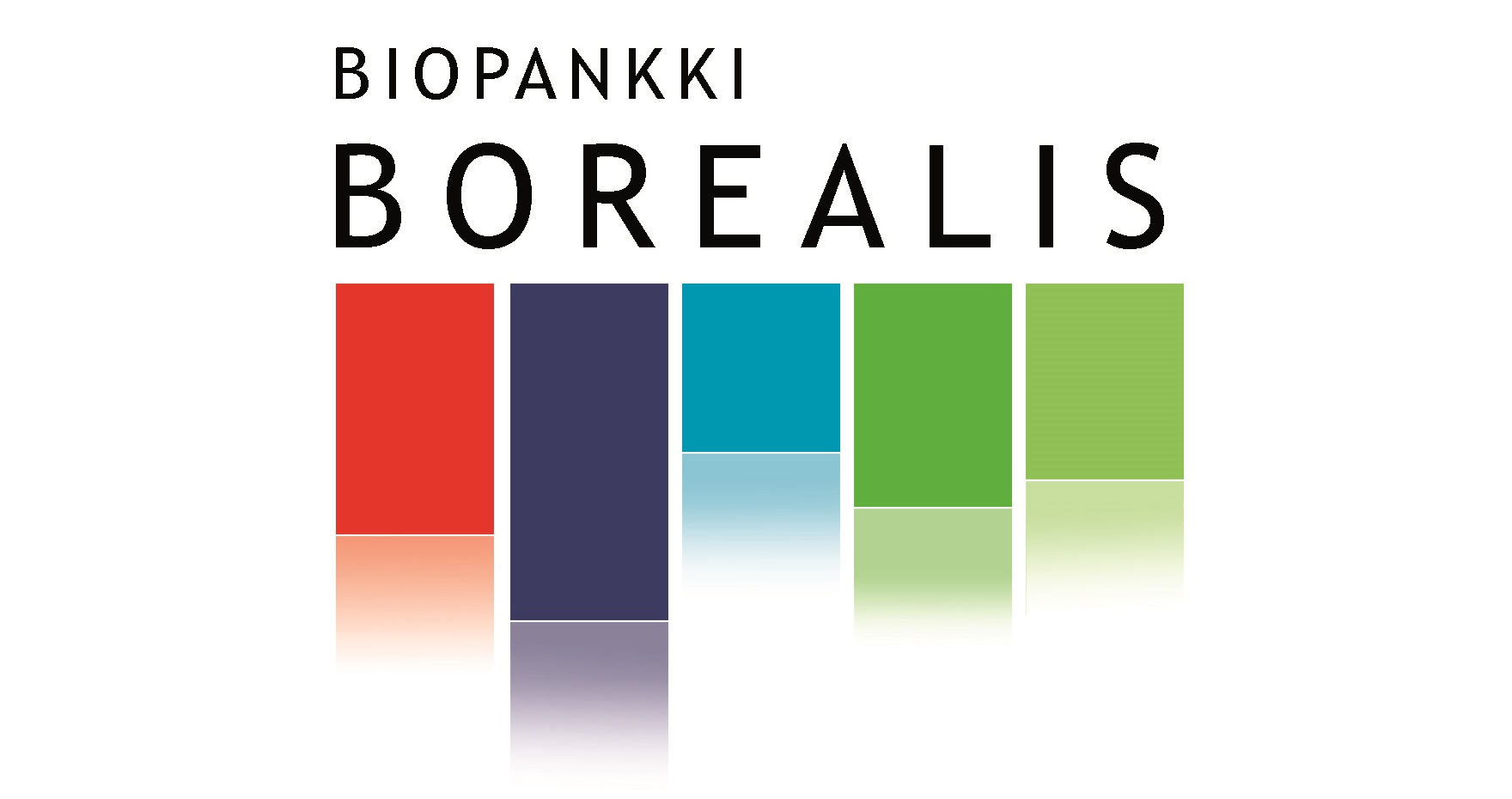 Borealis logo 