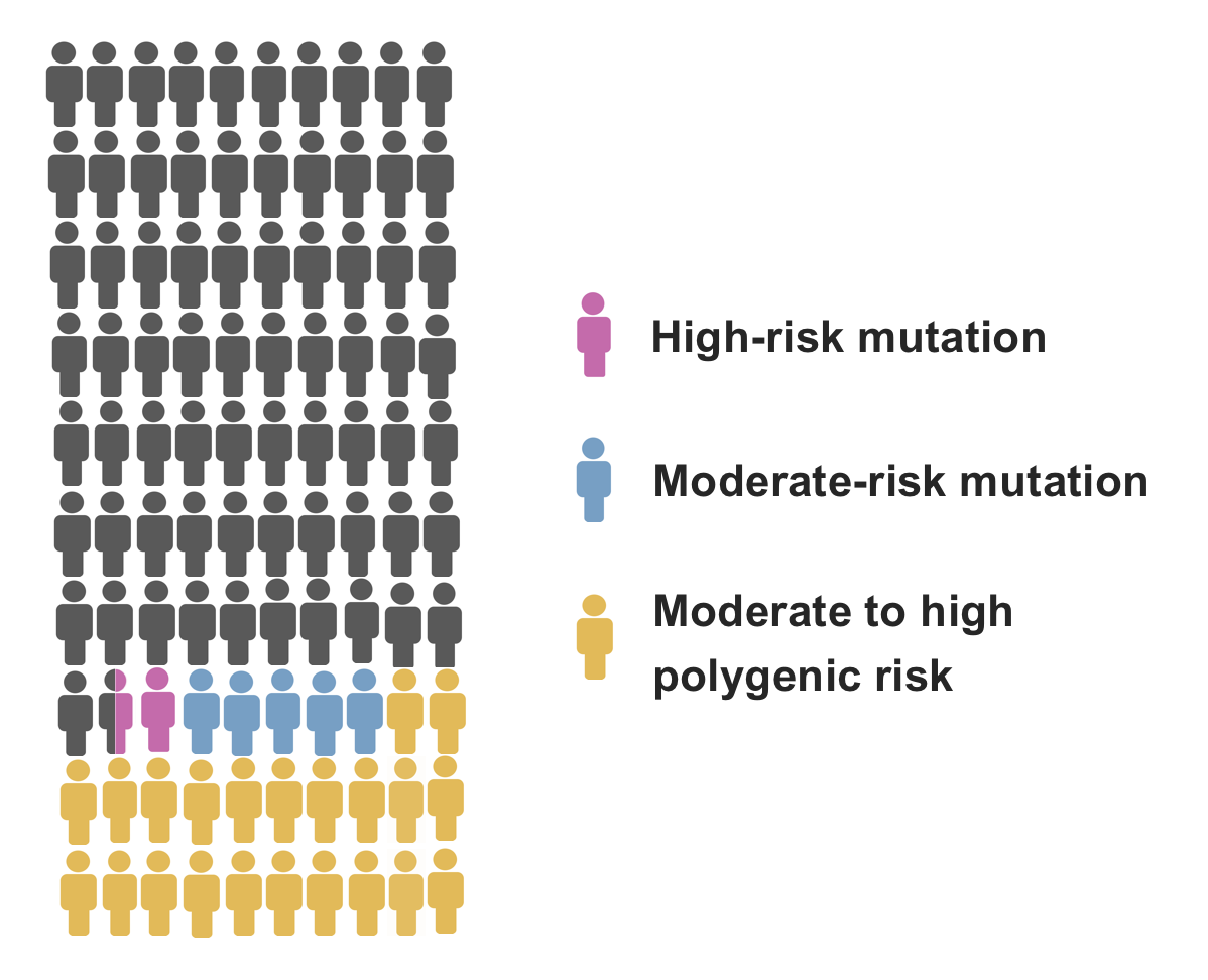 Infograph describing the proportion of breast cancer patients with different types of inherited risk factors. High-risk mutation can be found in 2 %, moderate-risk mutation in 5 % and moderate to high polygenic risk in 22 % of patients.