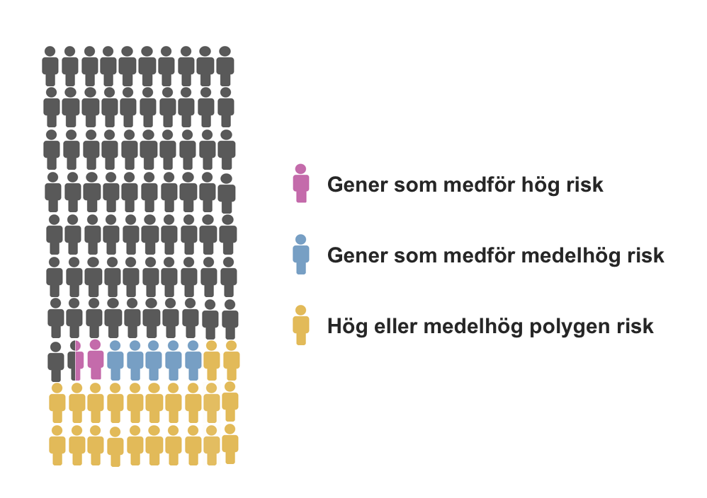 Bilden illustrerar förekomsten av olika genetiska riskfaktorer per hundra bröstcancerpatienter. Hög eller medelhög polygen risk: 22 %, gener som medför medelhög risk: 5 %, gener som medför hög risk: 1,5%..