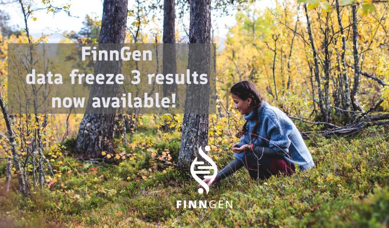 Kvinna plockar bär i en finsk skog.