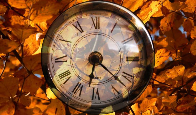An old-fashioned watch with autumn leaves in the background. 