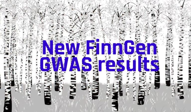 Birches with the text "New FinnGen GWAS results".