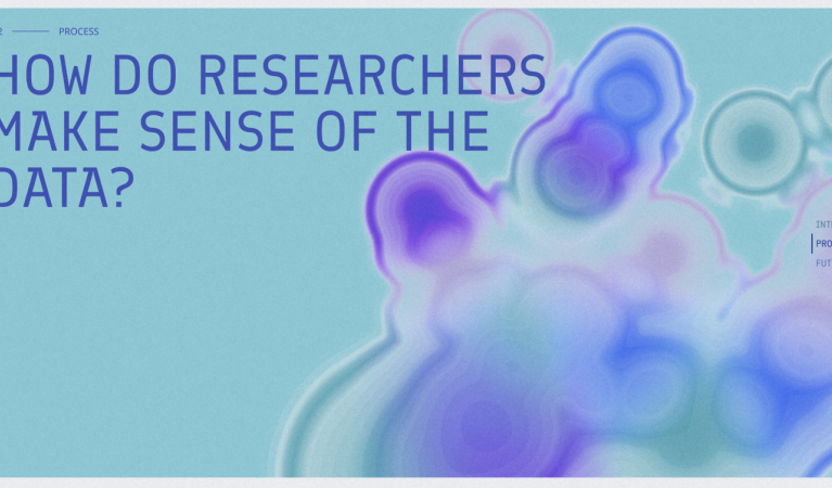 A screenshot from the website with a text: How do researchers make sense of the data?