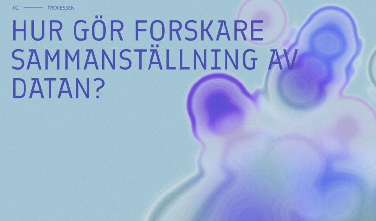 Screenshot från webbsidan med texten: Hur tolkar forskare data?