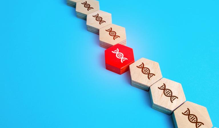 a row of wooden blocks engraved with DNA double helix patterns. One block in the middle is red and stands out from the others.
