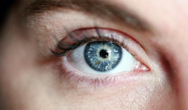Closeup of a human eye.