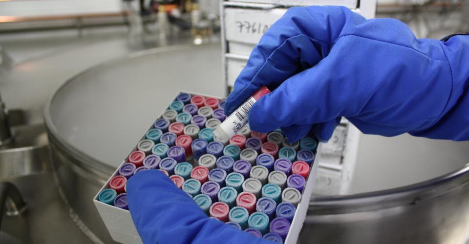 Biobank sample tubes