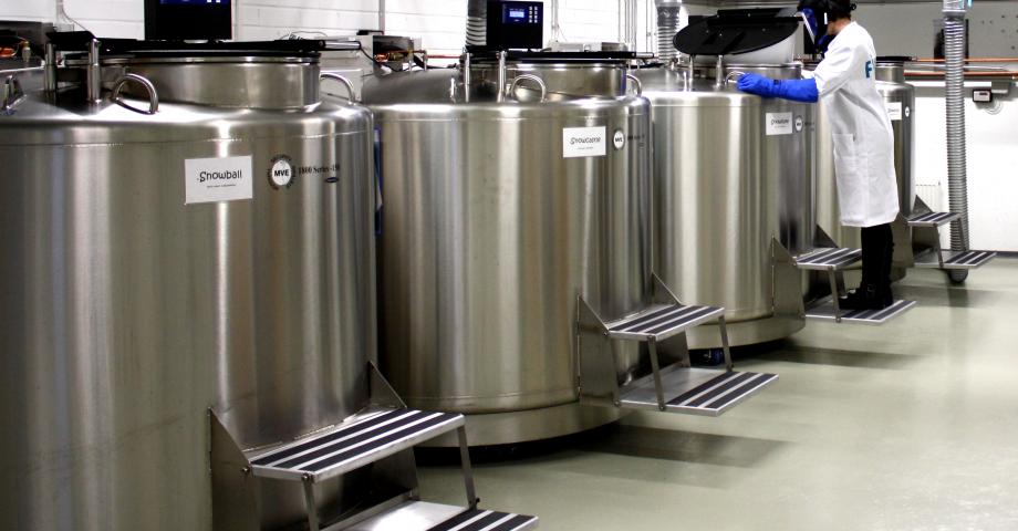 A biobank sample storage room, where samples are stored in large containers cooled with liquid nitrogen.