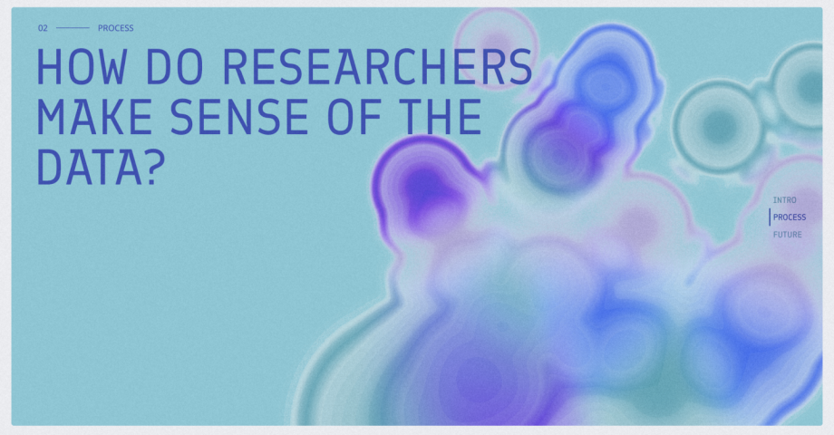 A screenshot from the website with a text: How do researchers make sense of the data?