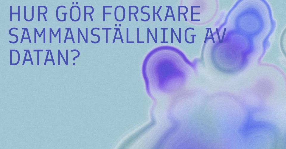 Screenshot från webbsidan med texten: Hur tolkar forskare data?