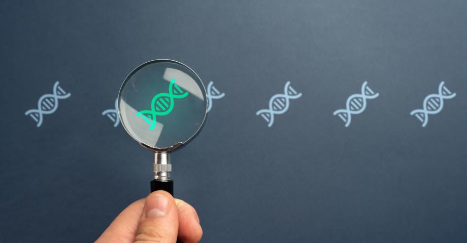 DNA icons on a grey background, one of which is viewed through a magnifying glass.