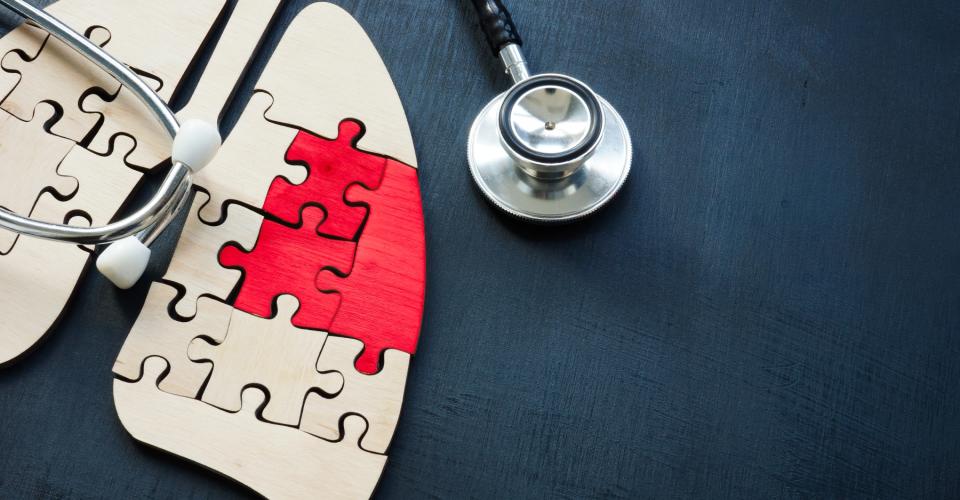 Keuhkojen mallinen palapeli ja stetoskooppi.