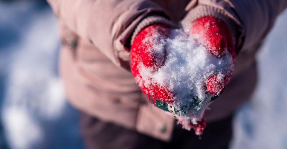Punaisiin lapasiin puetut kädet pitelevät lunta.