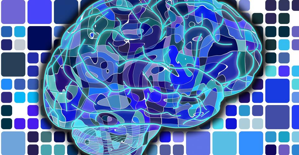 Abstract illustration of human brain in different shades of blue.