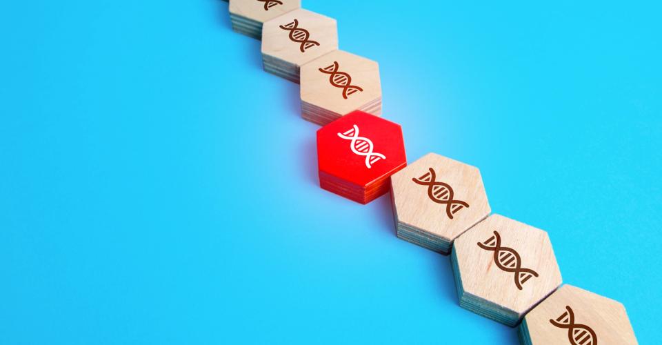 a row of wooden blocks engraved with DNA double helix patterns. One block in the middle is red and stands out from the others.