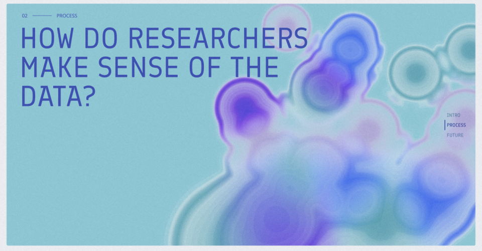 A screenshot from the website with a text: How do researchers make sense of the data?