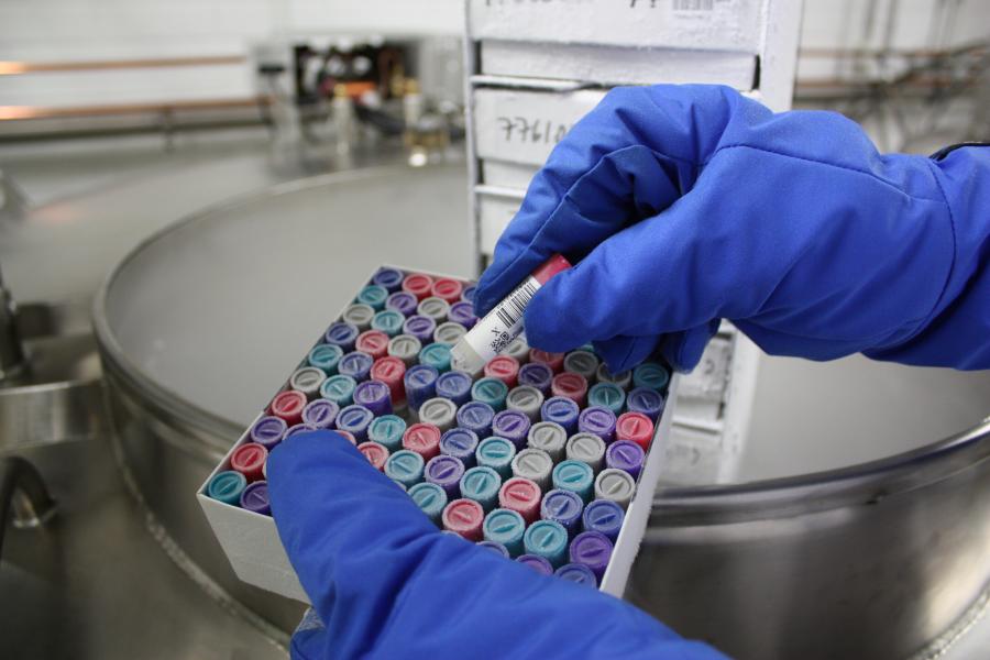 Biobank sample tubes