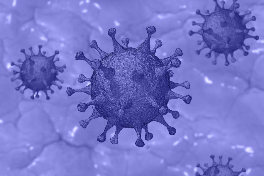 covid-19 virus