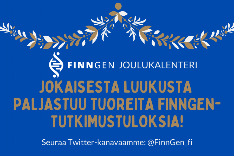 En julig dekoration och texten: FinnGen joulukalenteri: jokaisesta luukusta paljastuu tuoreita tutkimustuloksia! 
