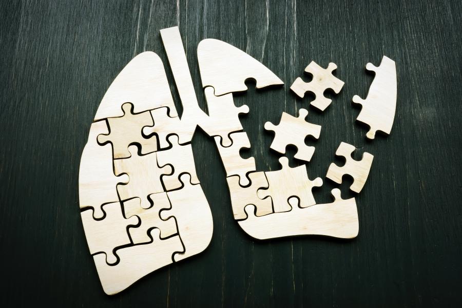 Lungor gjorda av pusselbitar. Några bitar saknas.