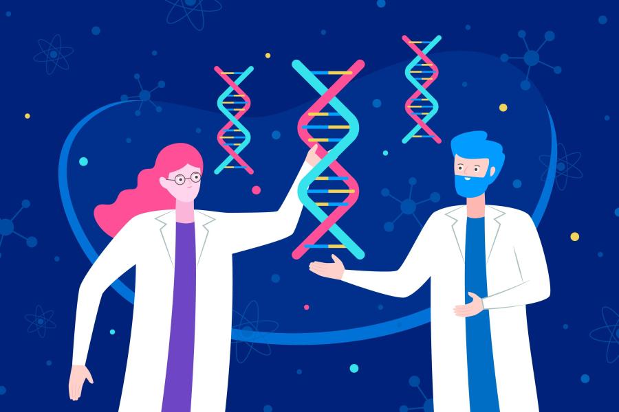 Kaksi tutkijaa, jotka pitävät käsissään DNA-molekyyliä. 