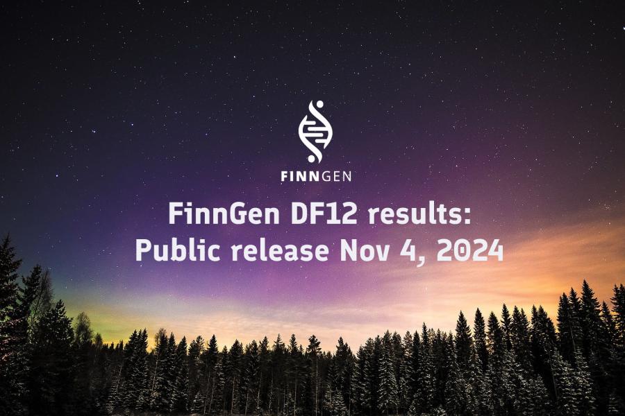 Northern lights in a winter forest landscape with a text: "FinnGen DF12 results: Public release Nov 4, 2024"