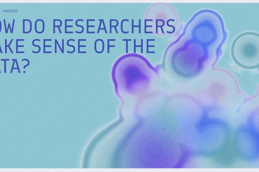 A screenshot from the website with a text: How do researchers make sense of the data?